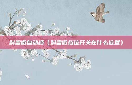 科雷傲自动档(科雷傲档位开关在什么位置)