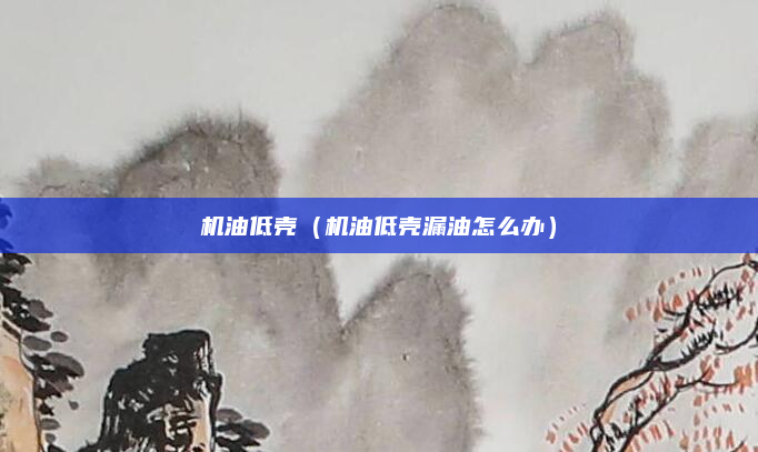 机油低壳（机油低壳漏油怎么办）