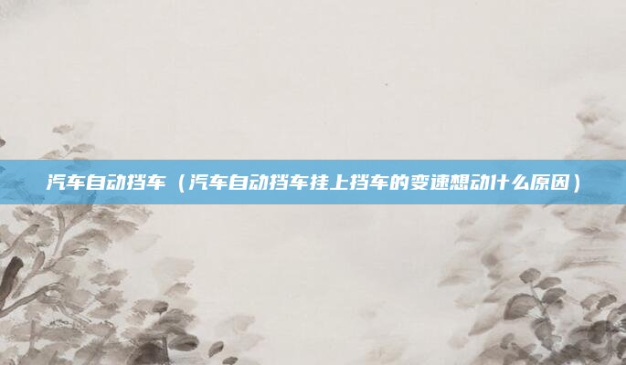 汽车自动挡车(汽车自动挡车挂上挡车的变速想动什么原因)