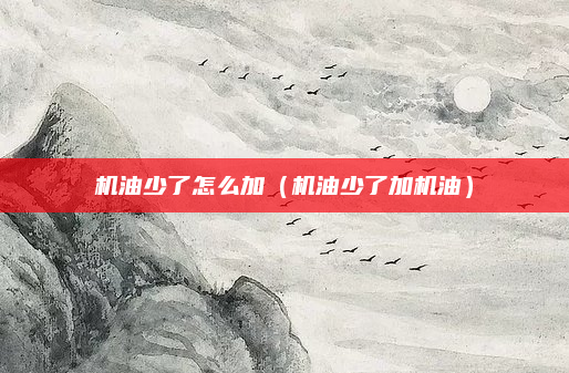 机油少了怎么加(机油少了加机油)