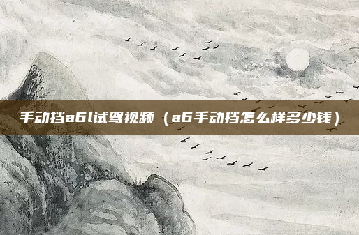 手动挡a6l试驾视频(a6手动挡怎么样多少钱)
