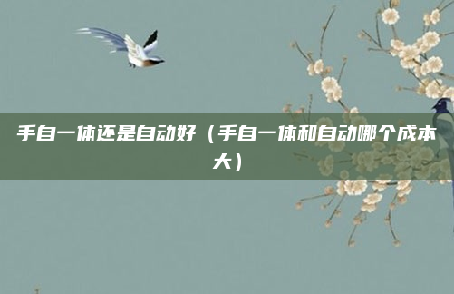 手自一体还是自动好(手自一体和自动哪个成本大)
