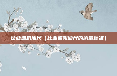 比亚迪机油尺(比亚迪机油尺的测量标准)