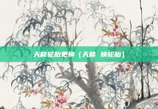 天籁轮胎更换(天籁 换轮胎)