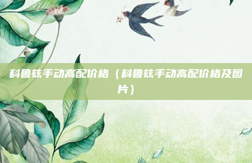 科鲁兹手动高配价格（科鲁兹手动高配价格及图片）