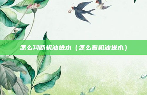 怎么判断机油进水（怎么看机油进水）
