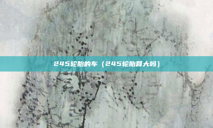 245轮胎的车（245轮胎算大吗）