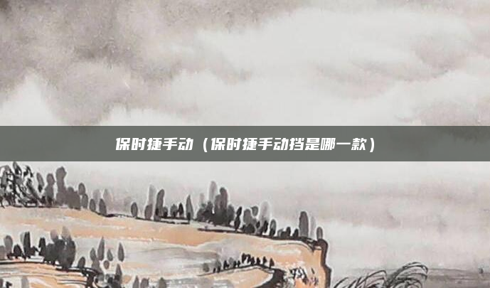 保时捷手动（保时捷手动挡是哪一款）