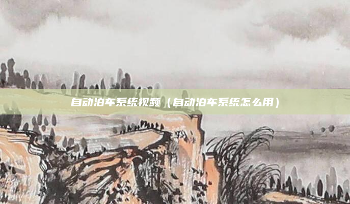 自动泊车系统视频（自动泊车系统怎么用）