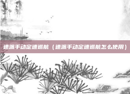 速派手动定速巡航（速派手动定速巡航怎么使用）