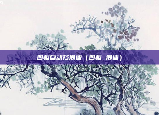 四驱自动挡浪迪（四驱 浪迪）