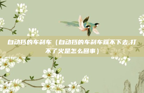 自动挡的车刹车（自动挡的车刹车踩不下去,打不了火是怎么回事）