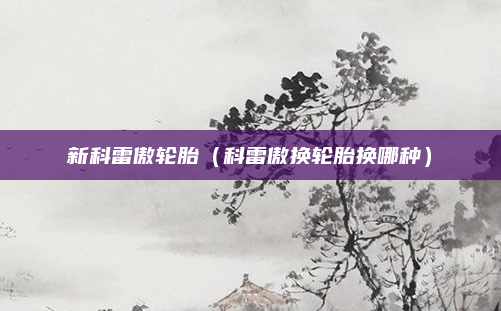 新科雷傲轮胎（科雷傲换轮胎换哪种）