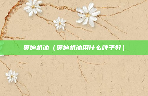 奥迪机油（奥迪机油用什么牌子好）