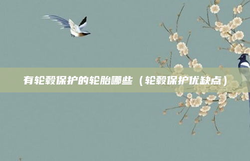 有轮毂保护的轮胎哪些（轮毂保护优缺点）