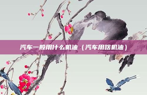 汽车一般用什么机油（汽车用啥机油）