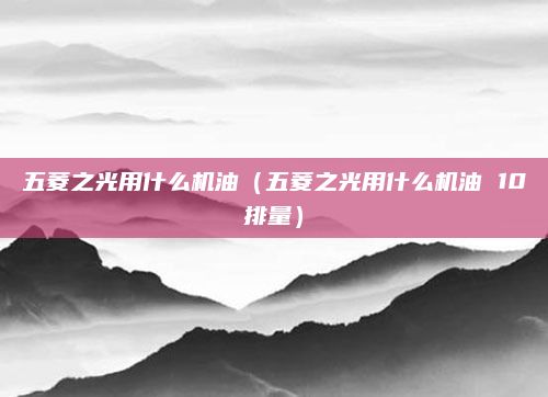 五菱之光用什么机油（五菱之光用什么机油 10排量）