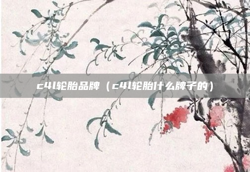 c4l轮胎品牌(c4l轮胎什么牌子的)