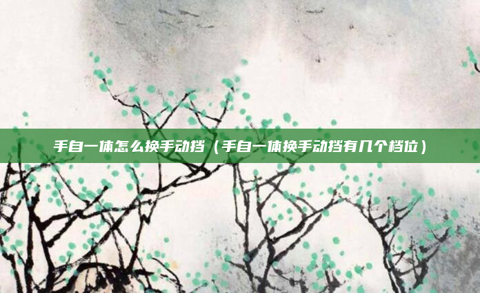 手自一体怎么换手动挡(手自一体换手动挡有几个档位)