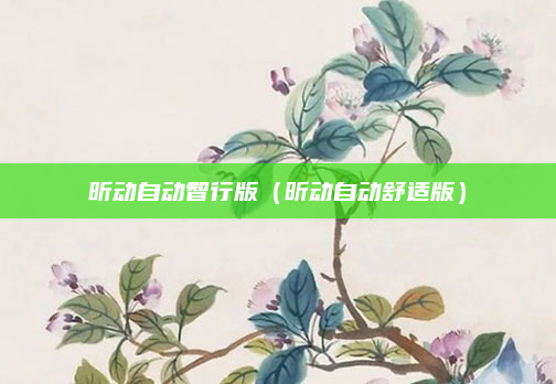 昕动自动智行版（昕动自动舒适版）