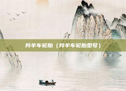 羚羊车轮胎(羚羊车轮胎型号)