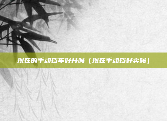 现在的手动挡车好开吗(现在手动挡好卖吗)