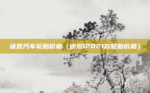 途观汽车轮胎价格(途观l2021款轮胎价格)