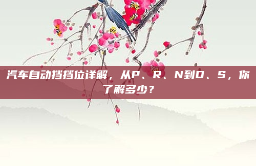 汽车自动挡挡位详解,从P、R、N到D、S,你了解多少?
