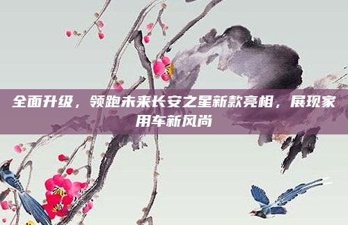 全面升级，领跑未来长安之星新款亮相，展现家用车新风尚