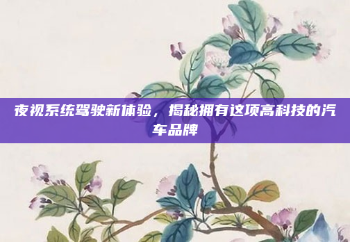 夜视系统驾驶新体验，揭秘拥有这项高科技的汽车品牌