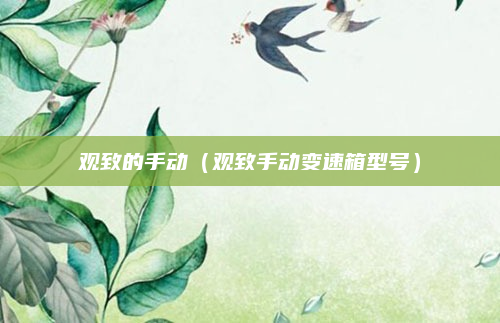 观致的手动（观致手动变速箱型号）