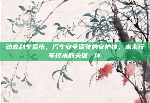 动态刹车系统，汽车安全驾驶的守护神，未来行车技术的关键一环
