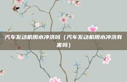 汽车发动机用水冲洗吗（汽车发动机用水冲洗有害吗）