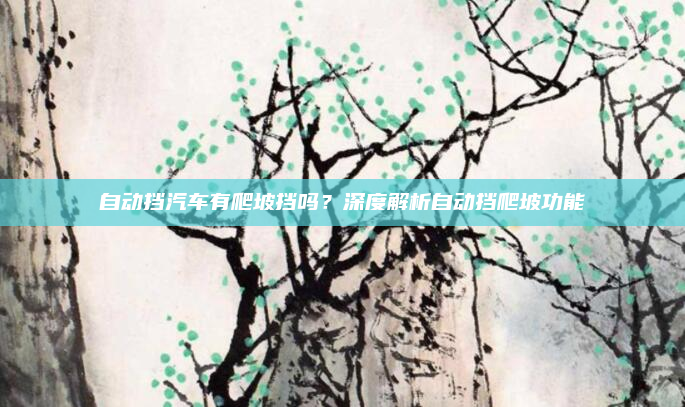 自动挡汽车有爬坡挡吗?深度解析自动挡爬坡功能