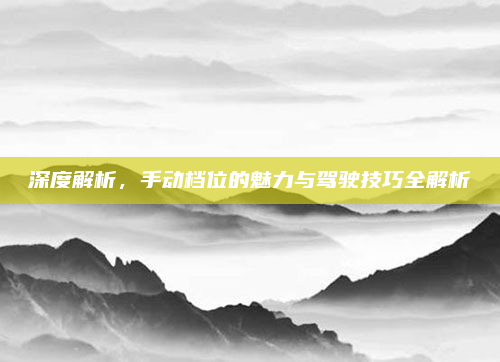 深度解析,手动档位的魅力与驾驶技巧全解析