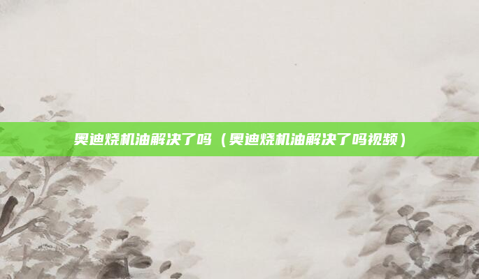 奥迪烧机油解决了吗（奥迪烧机油解决了吗视频）