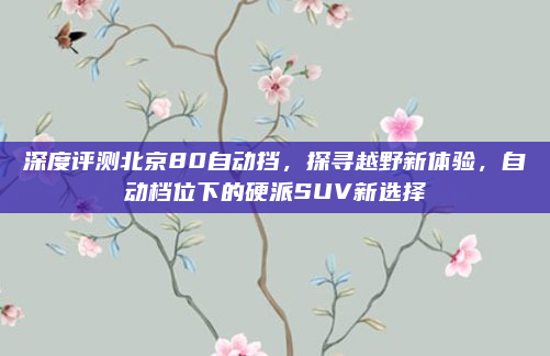 深度评测北京80自动挡，探寻越野新体验，自动档位下的硬派SUV新选择