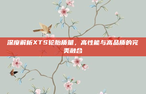 深度解析XTS轮胎质量，高性能与高品质的完美融合