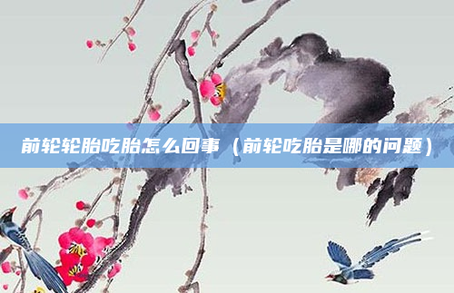 前轮轮胎吃胎怎么回事（前轮吃胎是哪的问题）
