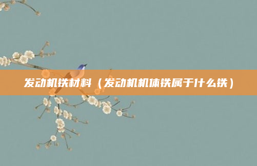 发动机铁材料（发动机机体铁属于什么铁）