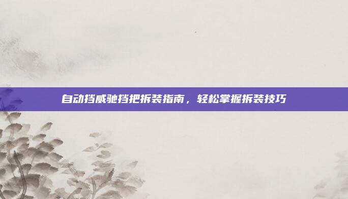 自动挡威驰挡把拆装指南，轻松掌握拆装技巧