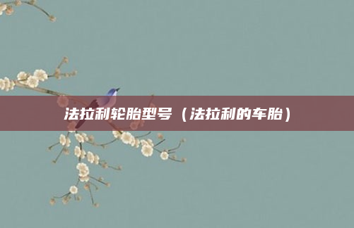 法拉利轮胎型号（法拉利的车胎）