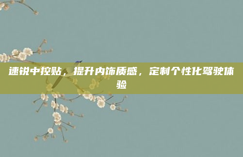 速锐中控贴，提升内饰质感，定制个性化驾驶体验