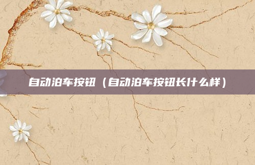 自动泊车按钮（自动泊车按钮长什么样）