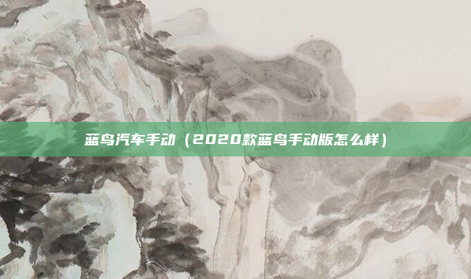 蓝鸟汽车手动（2020款蓝鸟手动版怎么样）