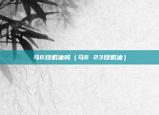 马6烧机油吗（马6 23烧机油）