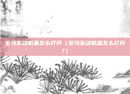宝马发动机盖怎么打开（宝马发动机盖怎么打开?）