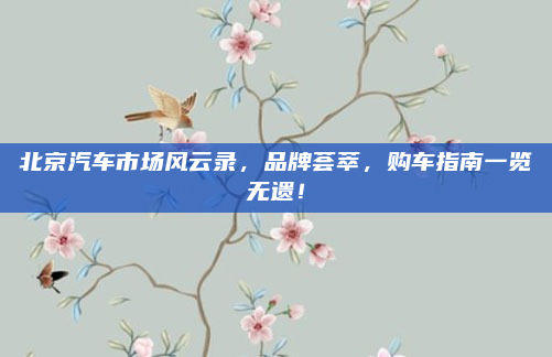 北京汽车市场风云录,品牌荟萃,购车指南一览无遗!