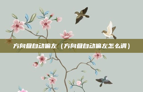 方向盘自动偏左（方向盘自动偏左怎么调）