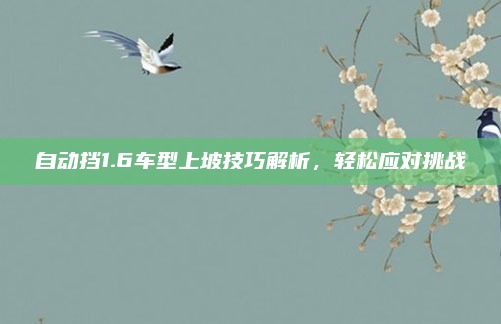 自动挡1.6车型上坡技巧解析,轻松应对挑战